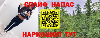 спайс Будённовск