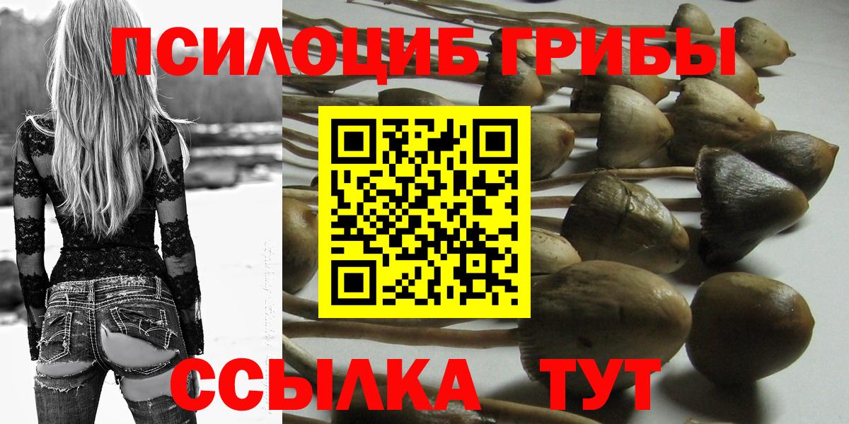 как найти   Псилоцибиновые грибы мухоморы  Обнинск  Вход с VPN  Галлюциногенные грибы ЛСД 